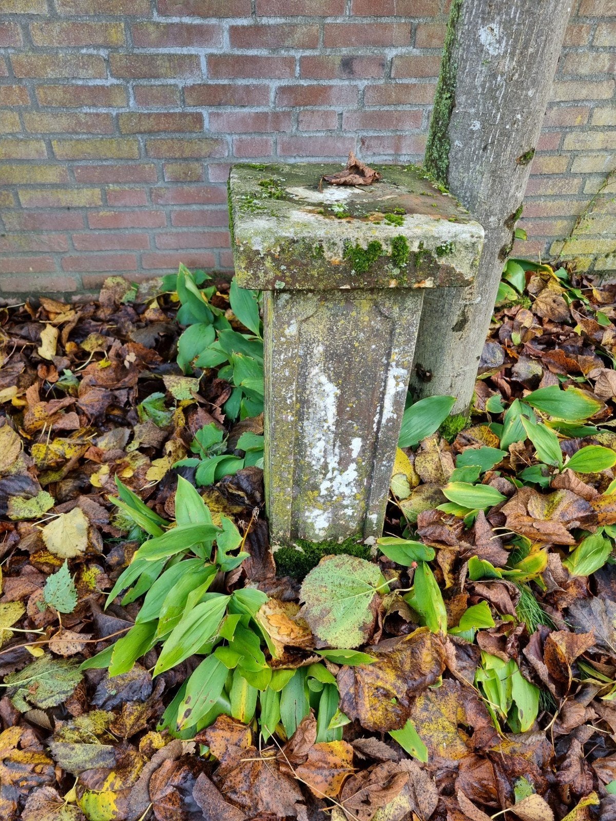 Stenen piedestal/voet voor buiten, Ophalen, Gebruikt, Rond, Steen