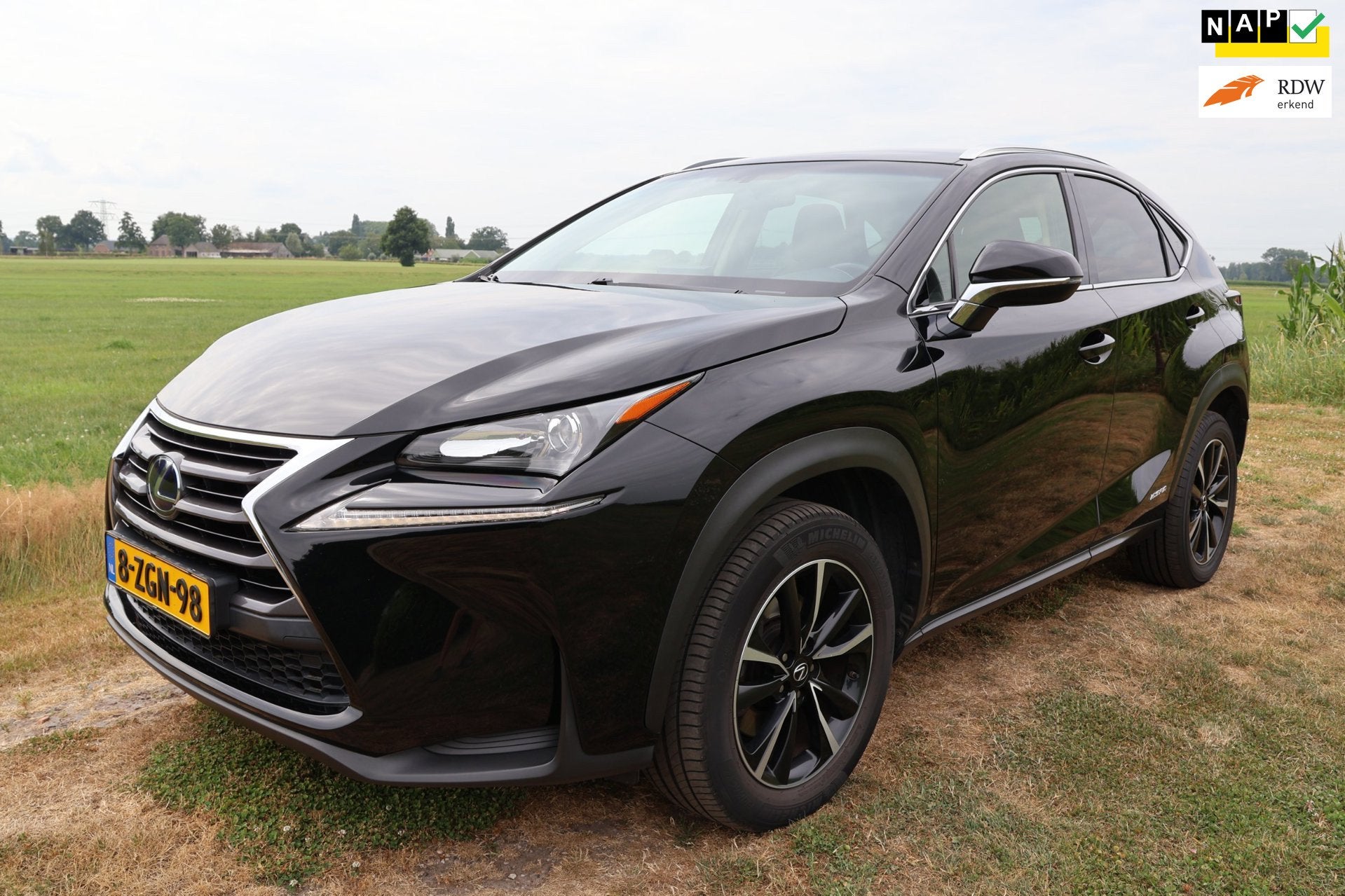 Lexus NX 300h AWD 25th Edition|Trekhaak|Leer|Dealer onderhou, Auto's, Lexus, Automaat, Gebruikt, Adaptive Cruise Control, Bedrijf