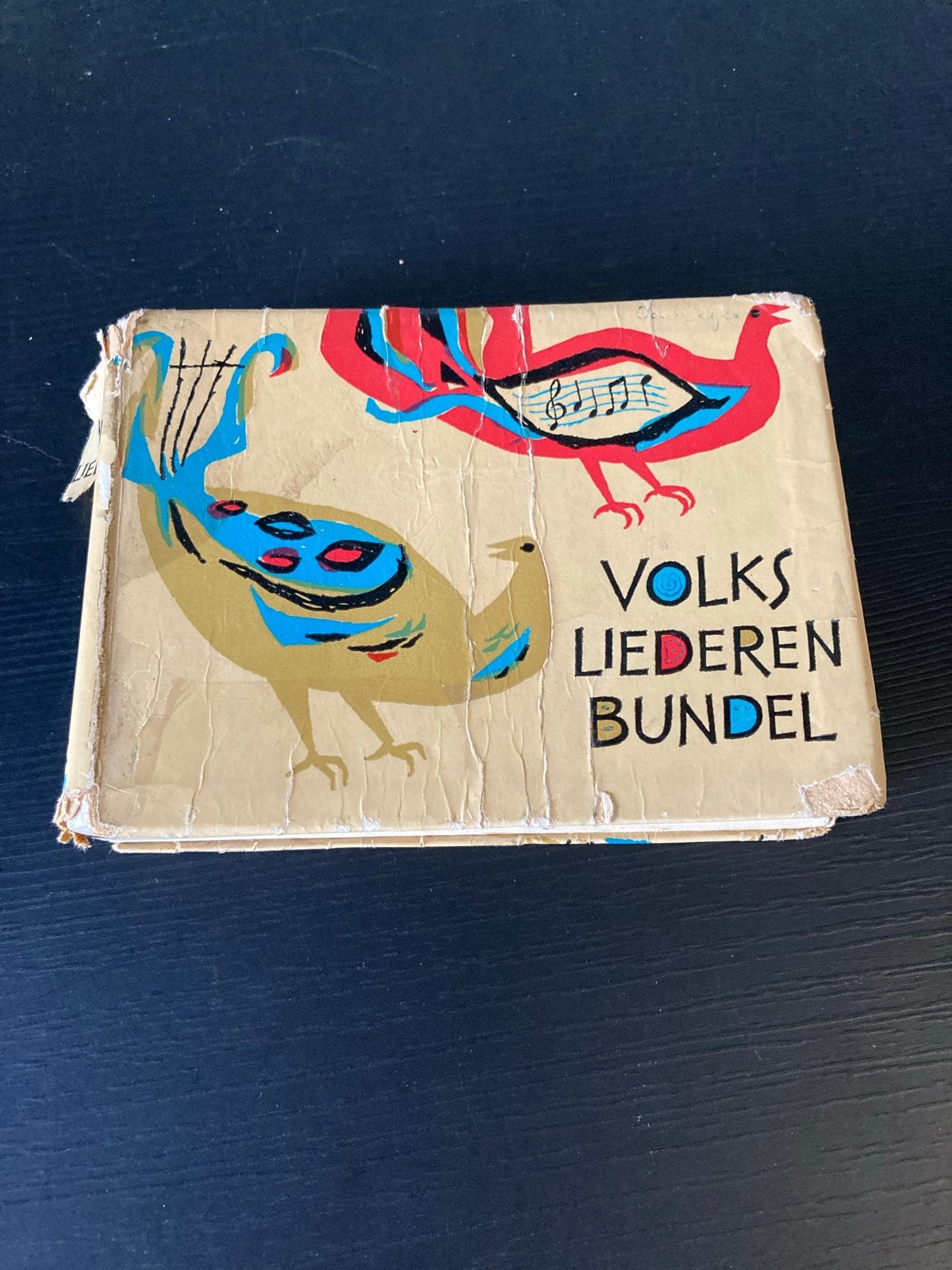 Volksliederenbundel - Klassieke Nederlandse Liedjes, Ophalen of Verzenden, Gelezen, Algemeen