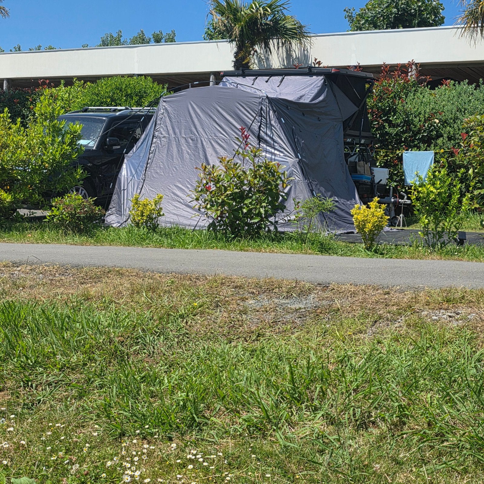 Daktent 
De Wild Land Rock Cruiser + voortent + luifel+ ther, Ophalen of Verzenden, Nieuw, Tot en met 2