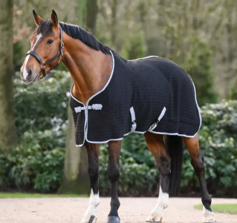 Dominick zweetdeken thermo 195, Dieren en Toebehoren, Paarden en Pony's | Dekens en Dekjes, Full (L), Zweetdeken, Nieuw, Ophalen of Verzenden