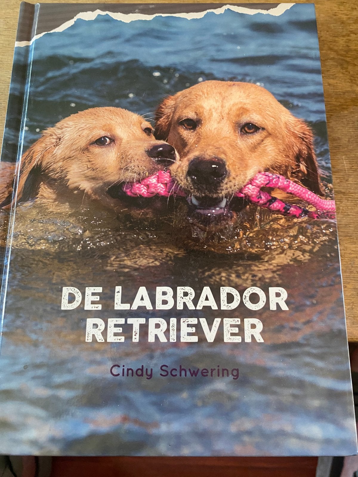 Z.g.a.n. Labrador boek- Cindy Schwering, Ophalen, Zo goed als nieuw