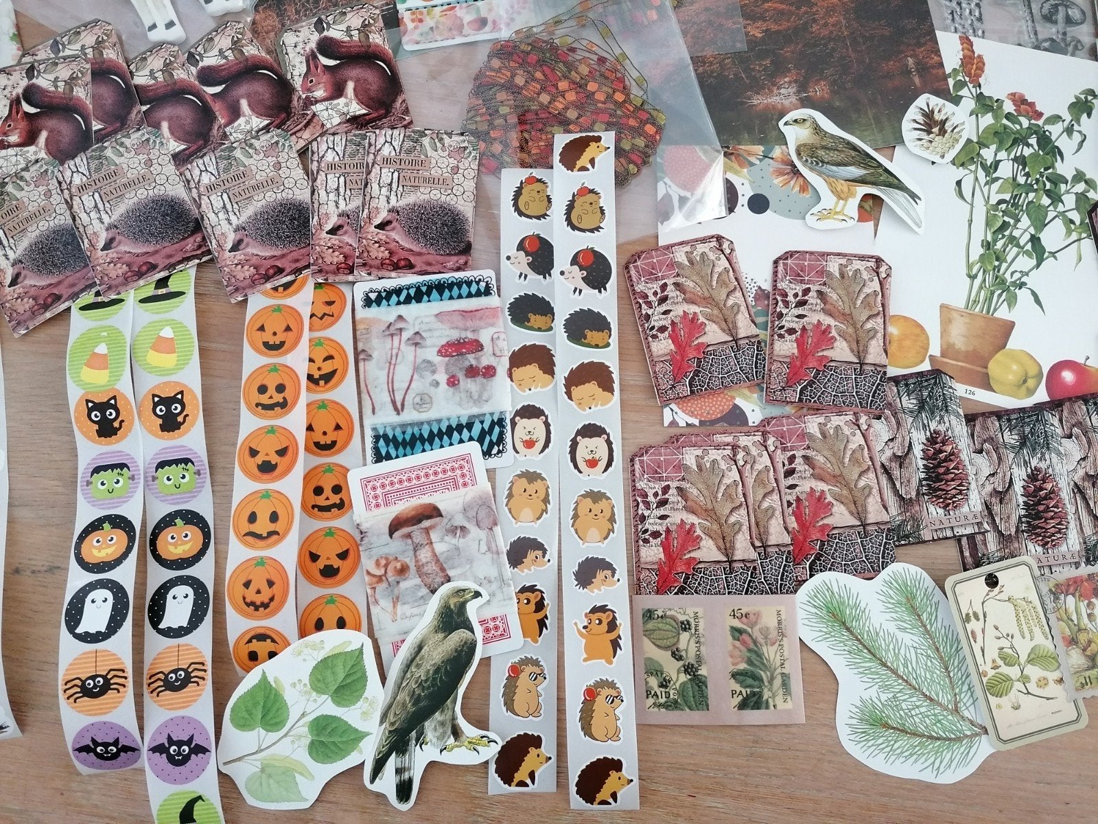 herfst set snailmail journal scrapbook ephemera, Hobby en Vrije tijd, Ophalen of Verzenden, Zo goed als nieuw
