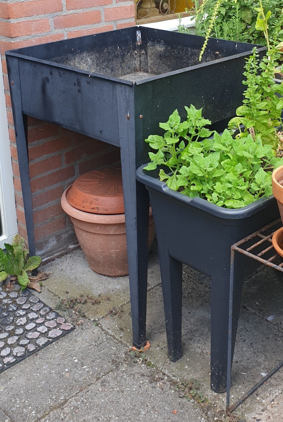 Vierkante zwart stalen plantenbak moestuinbak kweektafel, Ophalen, Gebruikt, Vierkant, Balkon