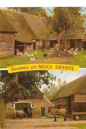 Ansichtkaart  	Drenthe	2-luik	Paarden	Kippen, Verzenden, 1960 tot 1980, Gelopen, Drenthe