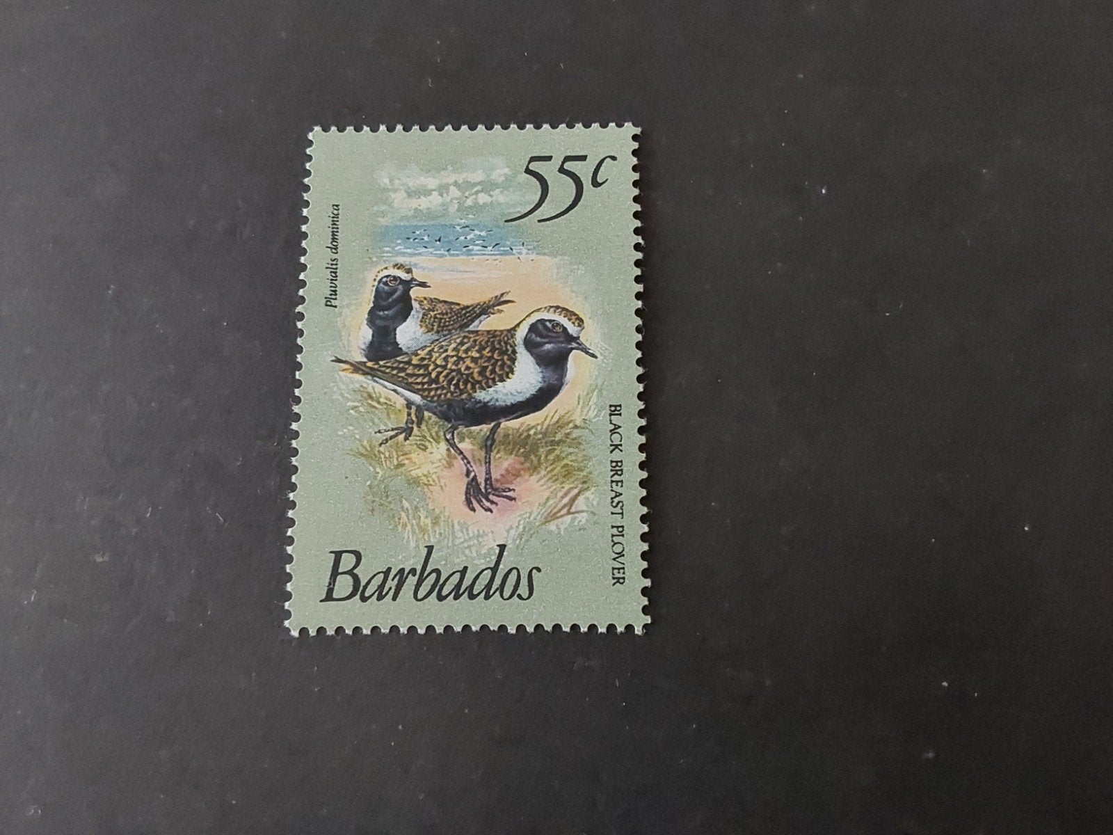 Barbados, SG 633a, Verzenden, Postfris, Noord-Amerika