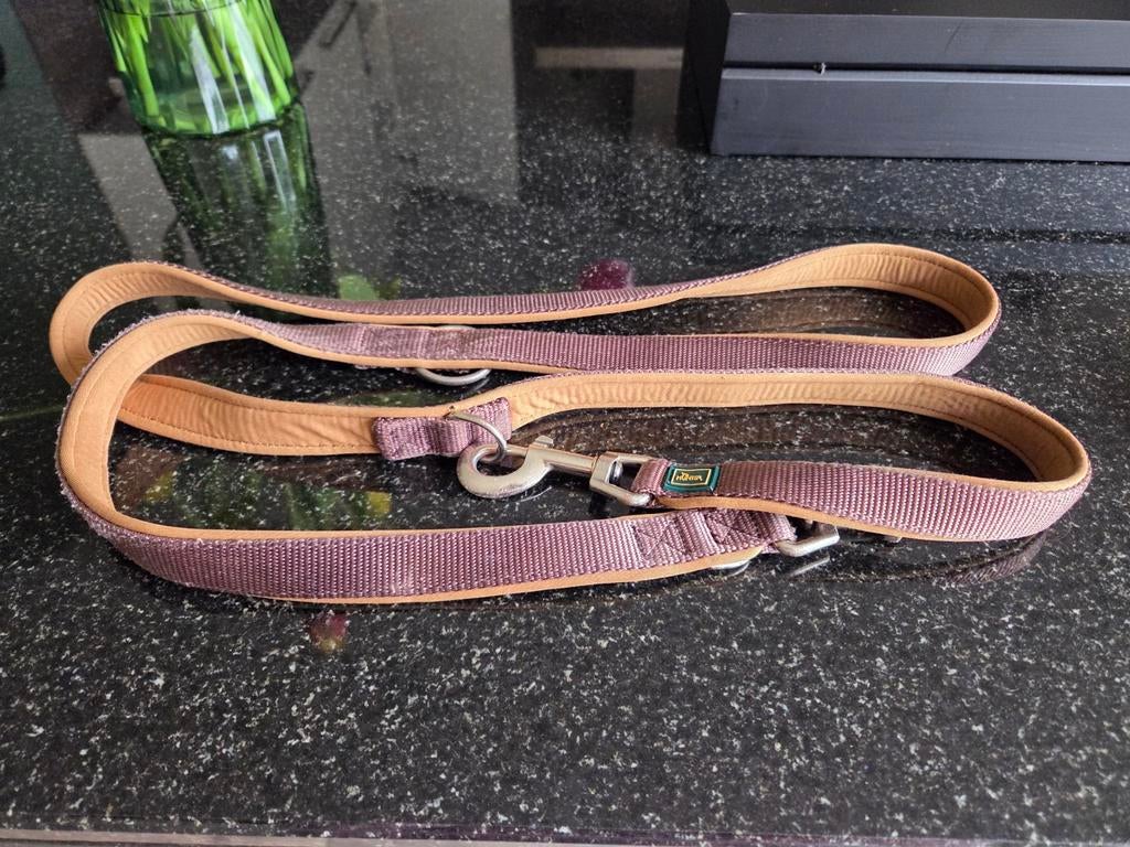 Hunter lijn met halsband, Ophalen, Gebruikt, Hondenriem-accessoire