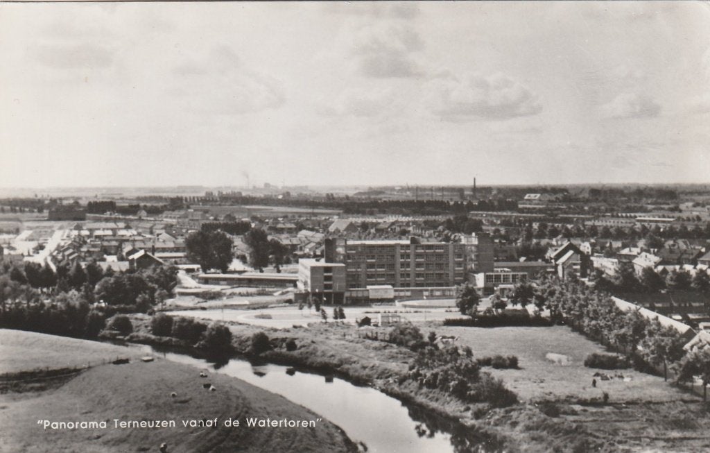 TERNEUZEN Panorama vanaf de Watertoren, Verzenden, 1960 tot 1980, Ongelopen, Zeeland