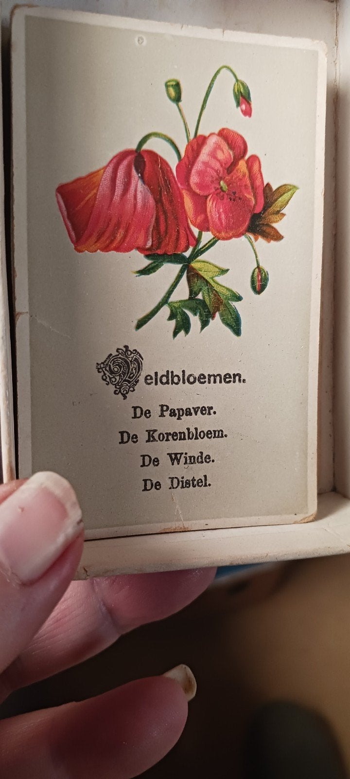 Oud Bloemen-Kwartet Gezelschapsspel voor Jong en Oud, Drie of vier spelers, Ophalen of Verzenden, Gebruikt, Onbekend