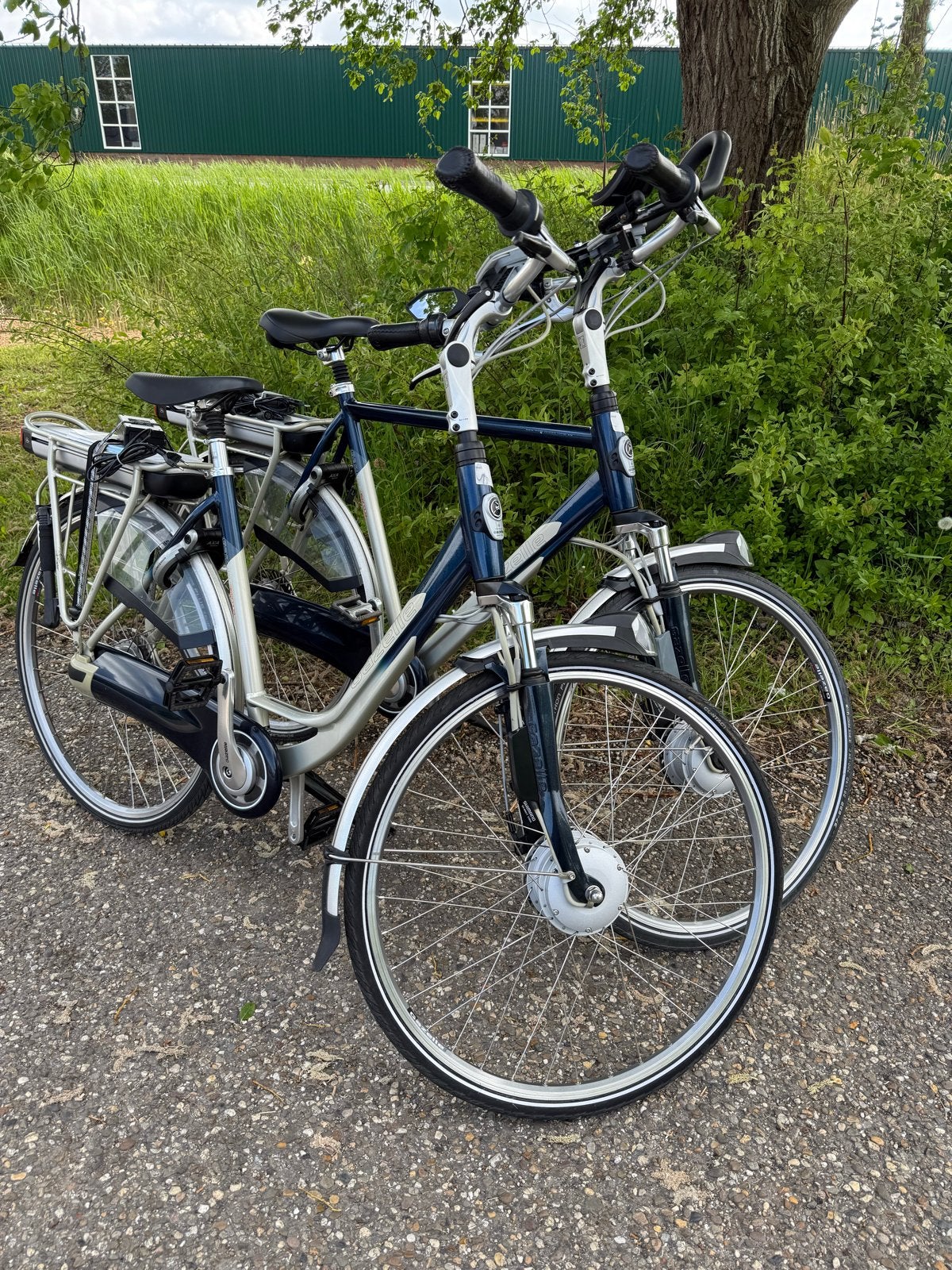 Zeer nette elektrische fietsen - Gazelle, Fietsen en Brommers, Elektrische fietsen, Ophalen of Verzenden, Zo goed als nieuw, 51 tot 55 cm