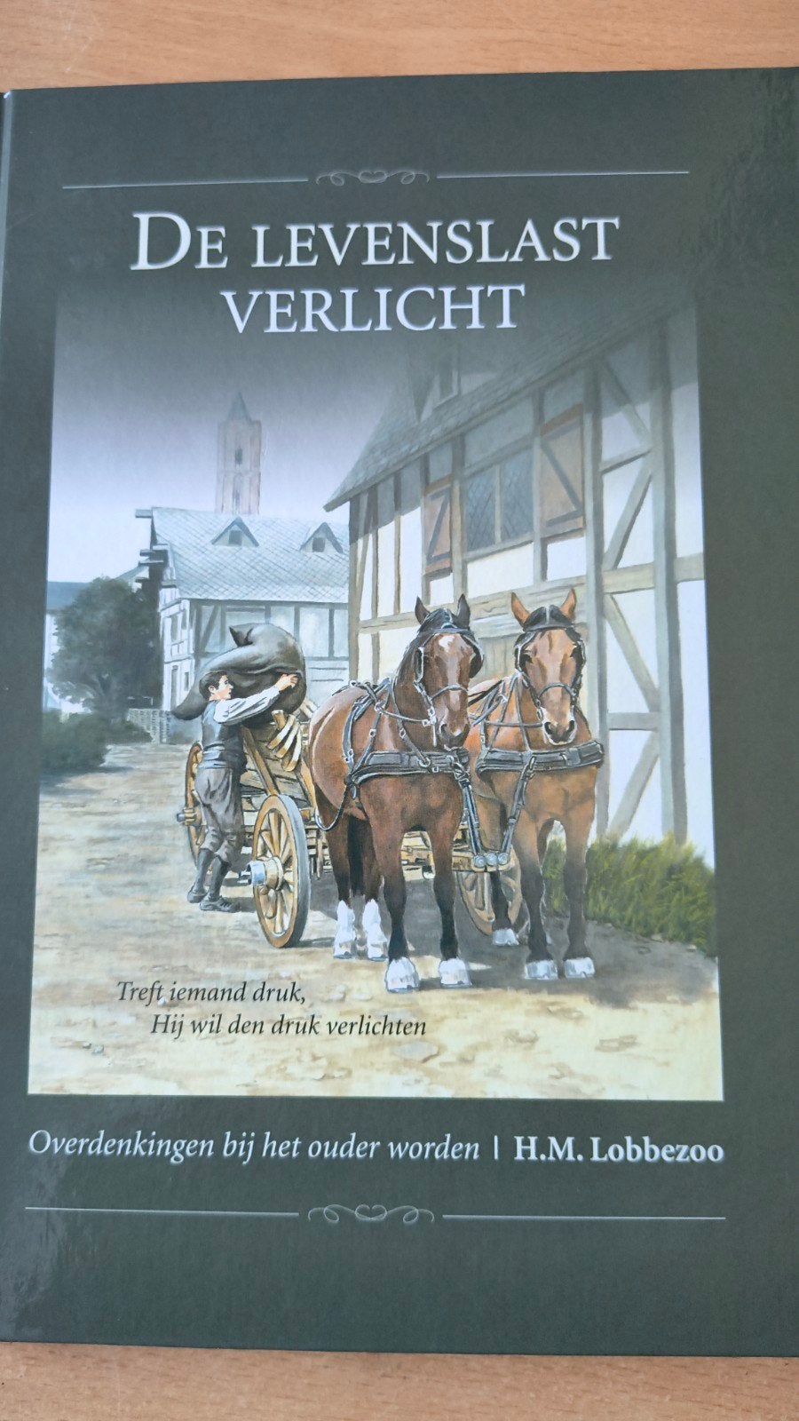 De levenslast verlicht. HM Lobbezo, HM Lobbezo, Christendom | Protestants, Ophalen of Verzenden, Zo goed als nieuw