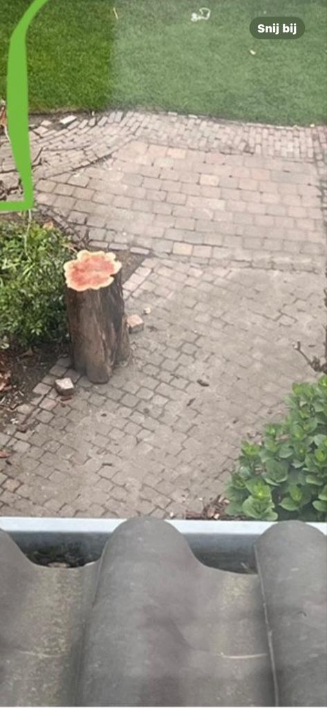 Klinkers - stenen - stoep, Tuin en Terras, Ophalen, Gebruikt, Beton, Klinkers