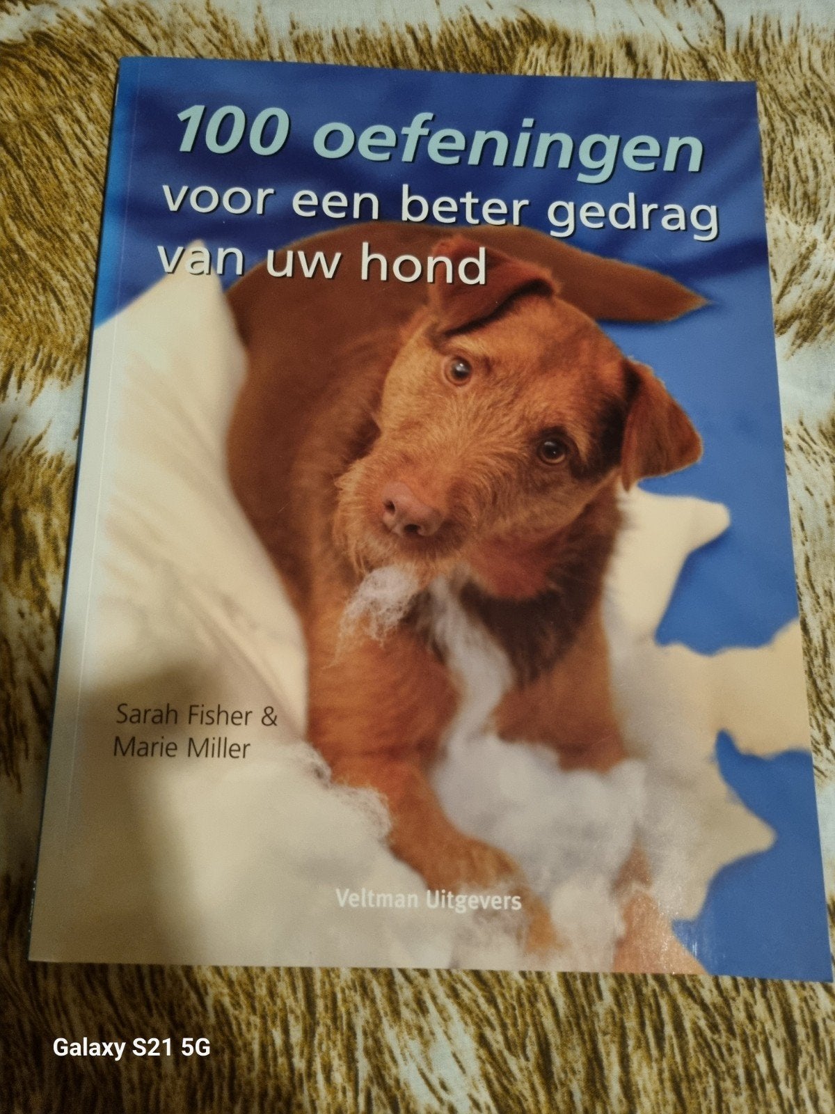 100 oefeningen voor een beter gedrag van uw hond, Ophalen of Verzenden, Zo goed als nieuw, Honden, Sarah Fisher & Marie Miller