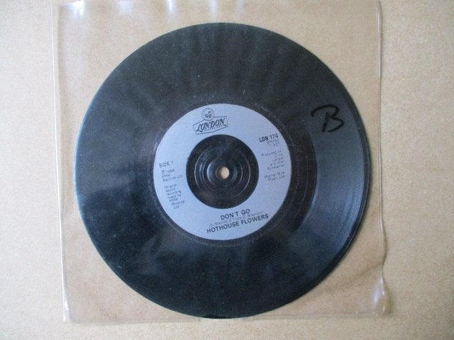 s2542 hothouse flowers - dont go, Ophalen, Gebruikt, Overige genres