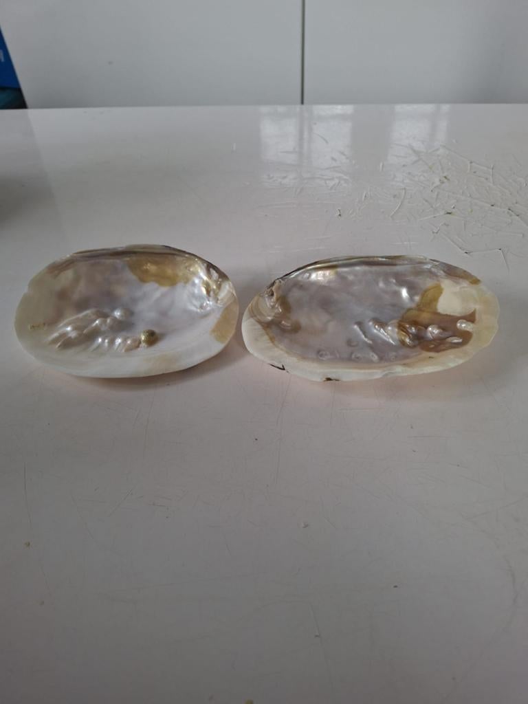 Twee prachtige parelmoer schelpen, Ophalen of Verzenden