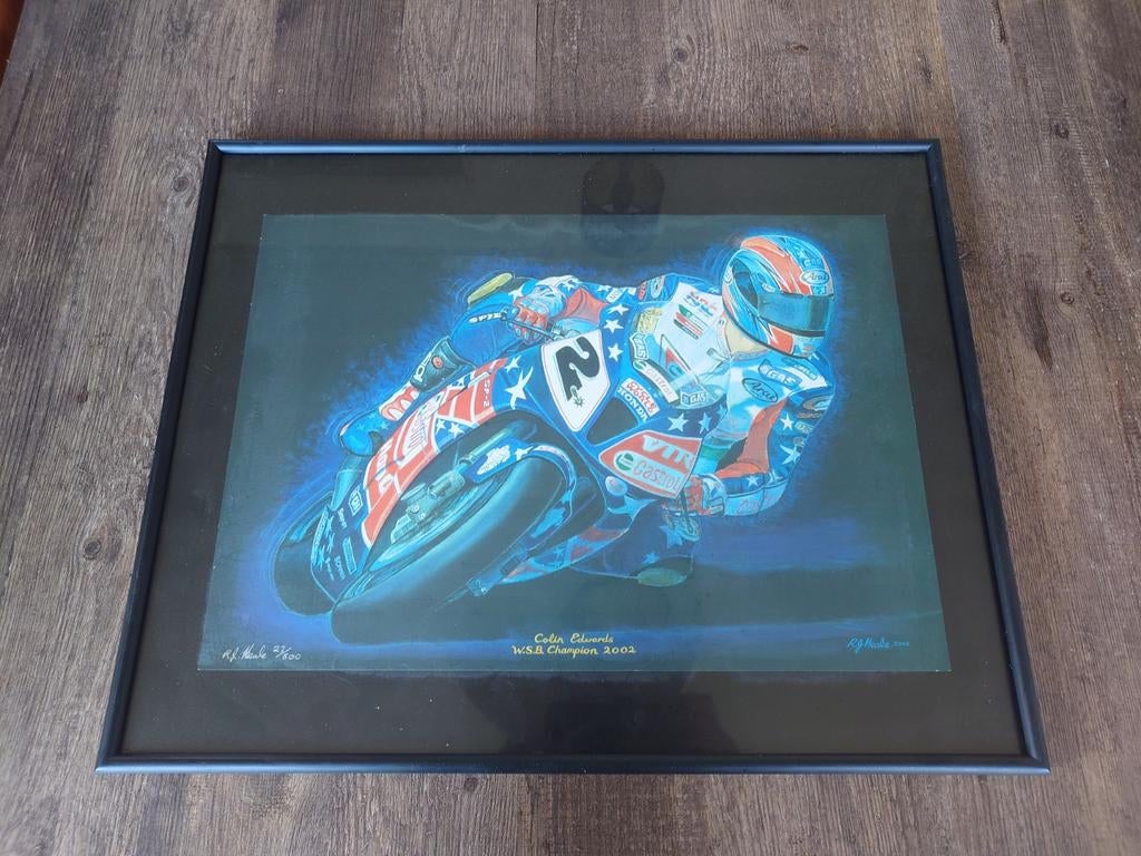 Colin Edwards WSBK champion 2002 Honda VTR sp1 sp2, Ophalen of Verzenden, Minder dan 50 cm, 50 tot 75 cm, Print
