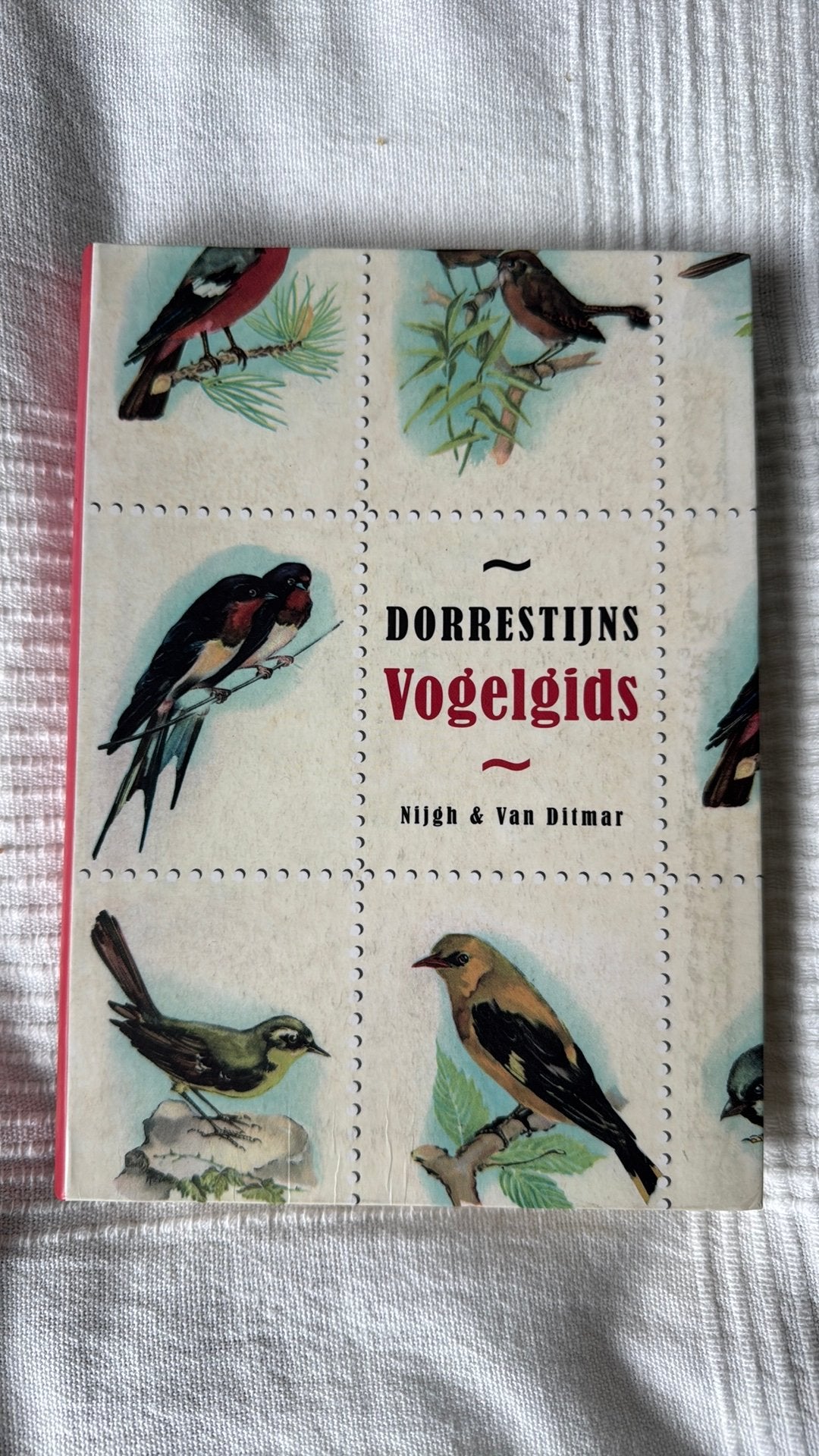 Hans Dorrestijn - Dorrestijns vogelgids, Ophalen of Verzenden, Zo goed als nieuw, Hans Dorrestijn