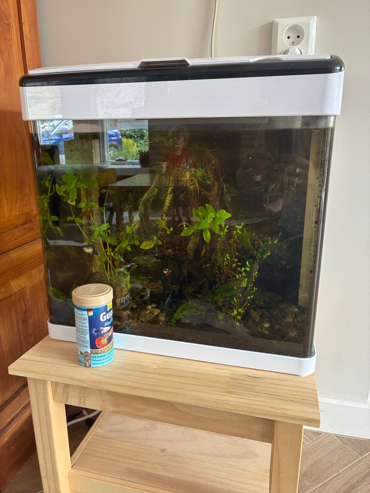 Aquarium, Ophalen, Zo goed als nieuw, Gevuld zoetwateraquarium