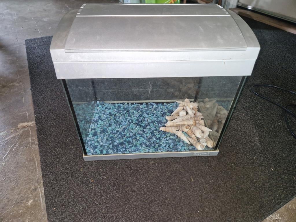 Gratis aquarium, Dieren en Toebehoren, Ophalen of Verzenden