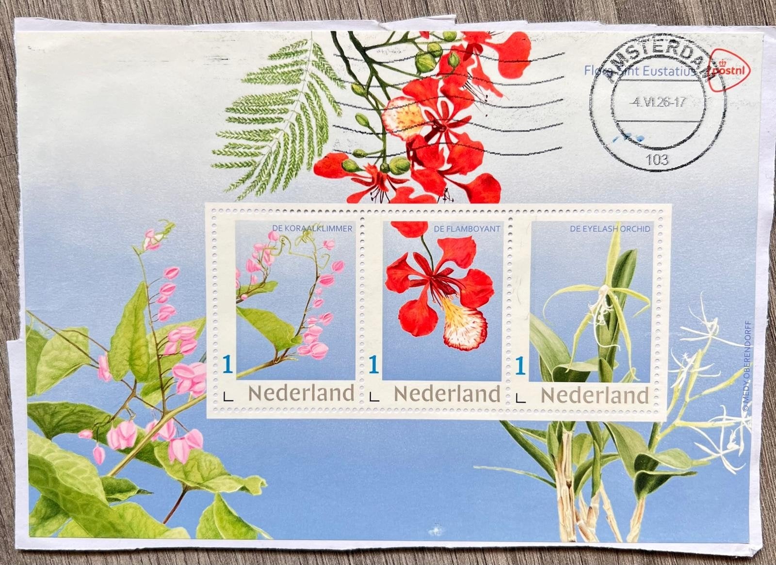 Nederland, 2025, Flora Sint Eustatius, Ophalen of Verzenden, Na 1940, Gestempeld