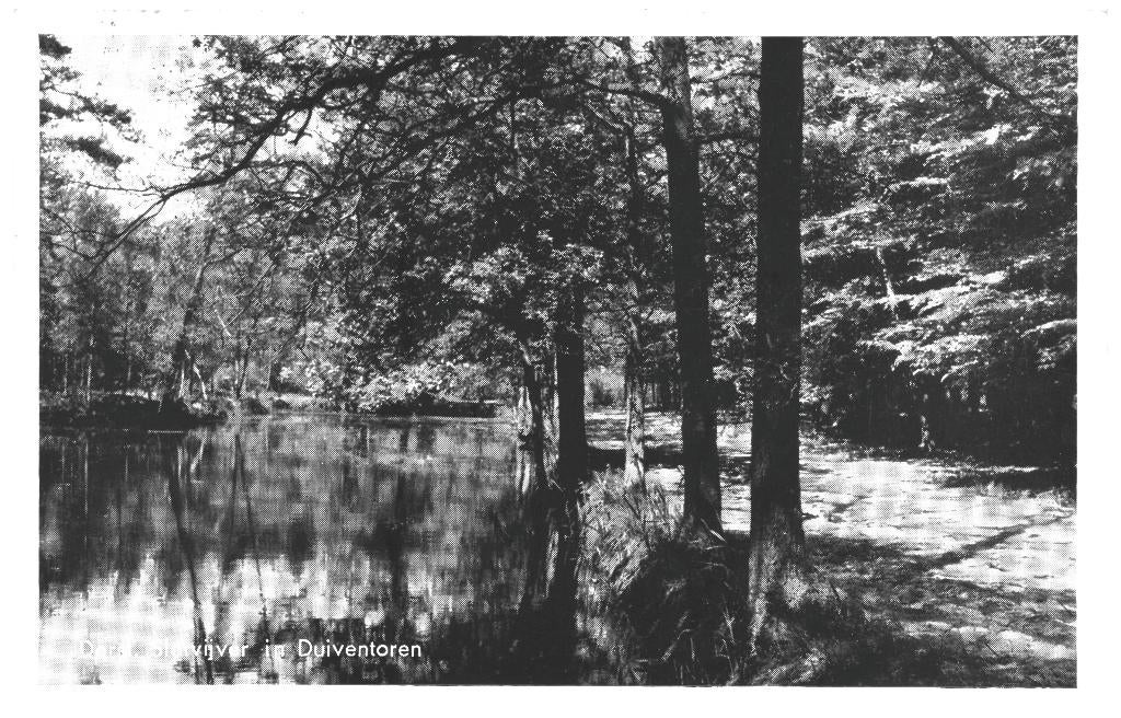 967228 Dorst Slotvijver  Duiventoren 1961 Gelopen met zegel, Verzamelen, Ansichtkaarten | Nederland, Ophalen of Verzenden, 1960 tot 1980