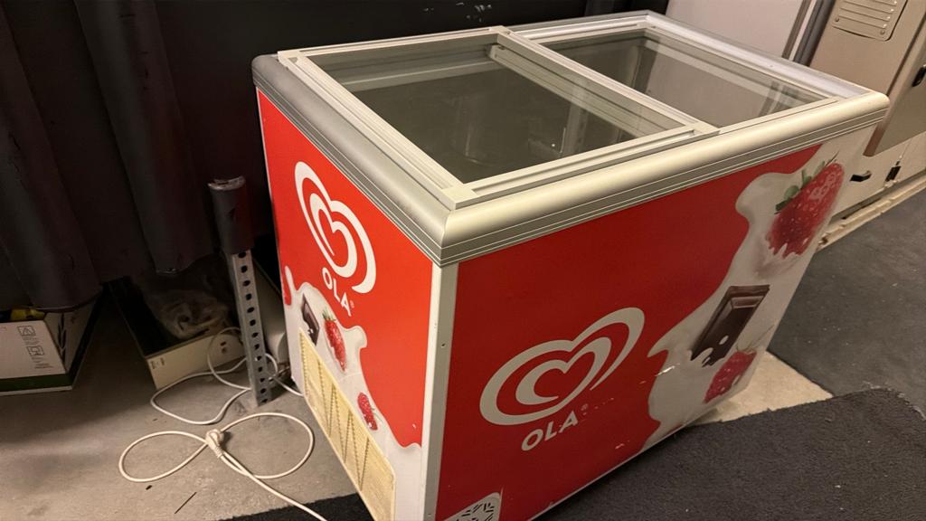 Vriezer, Witgoed en Apparatuur, Vriezers en Diepvrieskisten, Ophalen, Gebruikt, Minder dan 60 cm