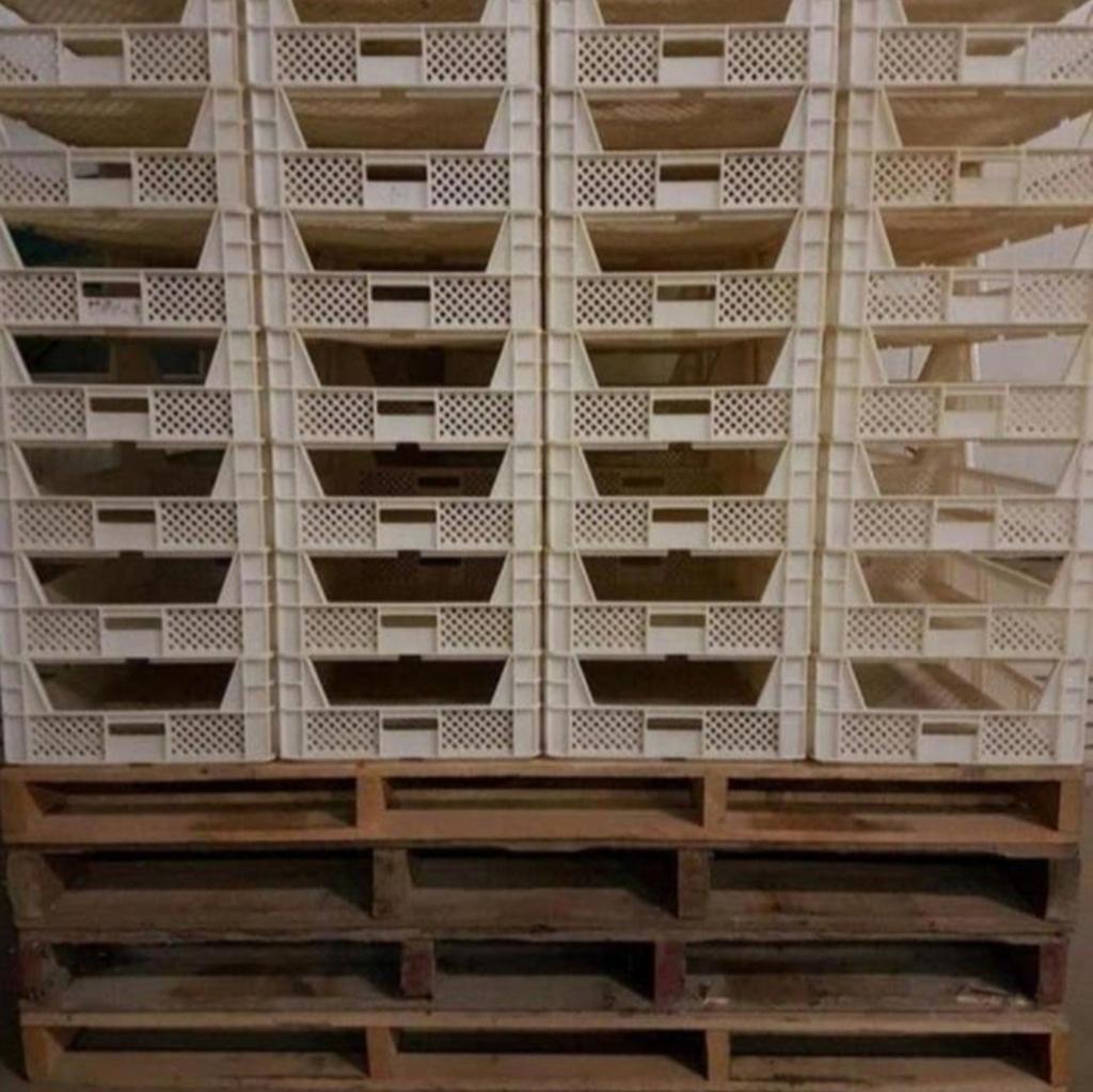 307 kunstof voorkiem kisten / plastic kratten, Tuin en Terras, Bloembakken en Plantenbakken, Ophalen of Verzenden, Rond, Kunststof