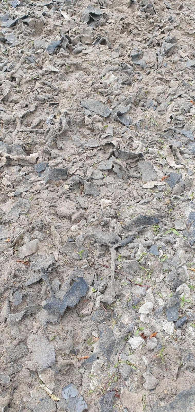 Paardenbaksnippers, Toebehoren