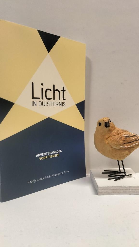 Lamberink, Maartje e.a.; Licht in Duisternis, Ophalen of Verzenden, Gelezen, Christendom | Protestants
