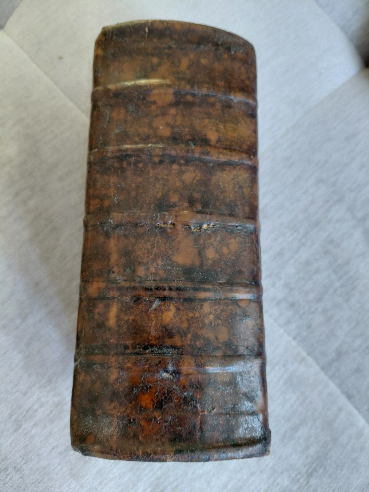 corpus  juris civilis 1700 Amsterdam ,P&I Blaev, Ophalen of Verzenden, Rechthoekig