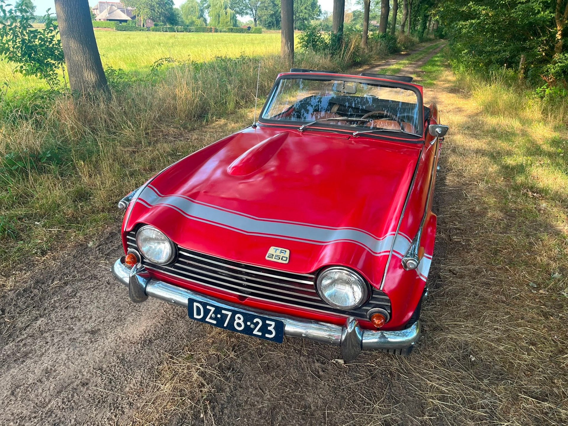 Triumph TR250 Gereviseerde motor, foto 4