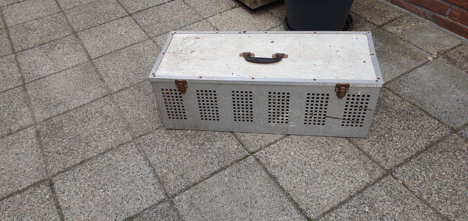 Vervoer kist Duiven/Kippen, Vrouwelijk, Postduif