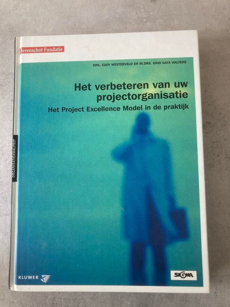 Het verbeteren van uw projectorganisatie, Ophalen of Verzenden, Gelezen, Management