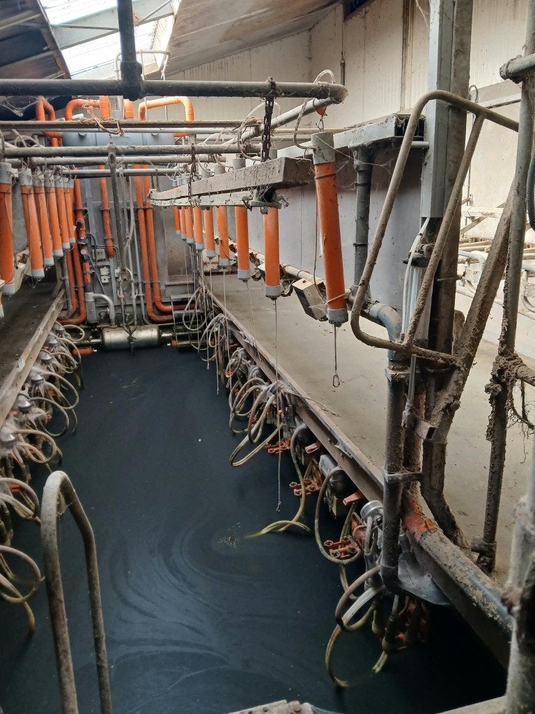 Melkinstallatie stalinrichting lang niet gebruikt prijs notk, Stalling