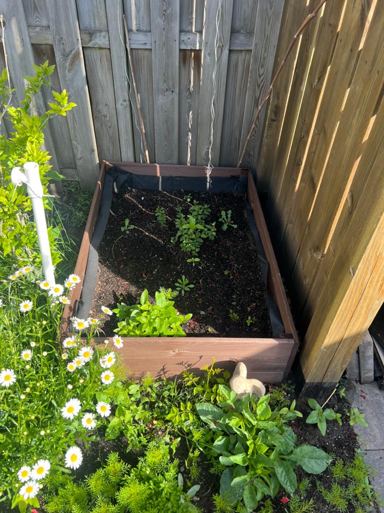 Houten moestuinbak / plantenbak - Nieuw in doos, 100 cm of meer, Balkon, Nieuw, Ophalen of Verzenden