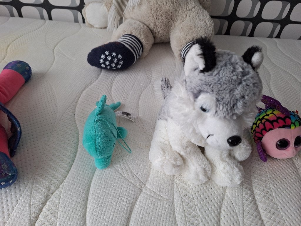 Heerlijk zachte husky knuffel, Ophalen of Verzenden, Zo goed als nieuw, Grijs, Hond
