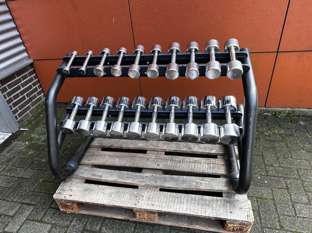 Technogym Dumbells 1 t/m 10kg + Technogym Dumbells Rek, Ophalen, Gebruikt, Dumbbell