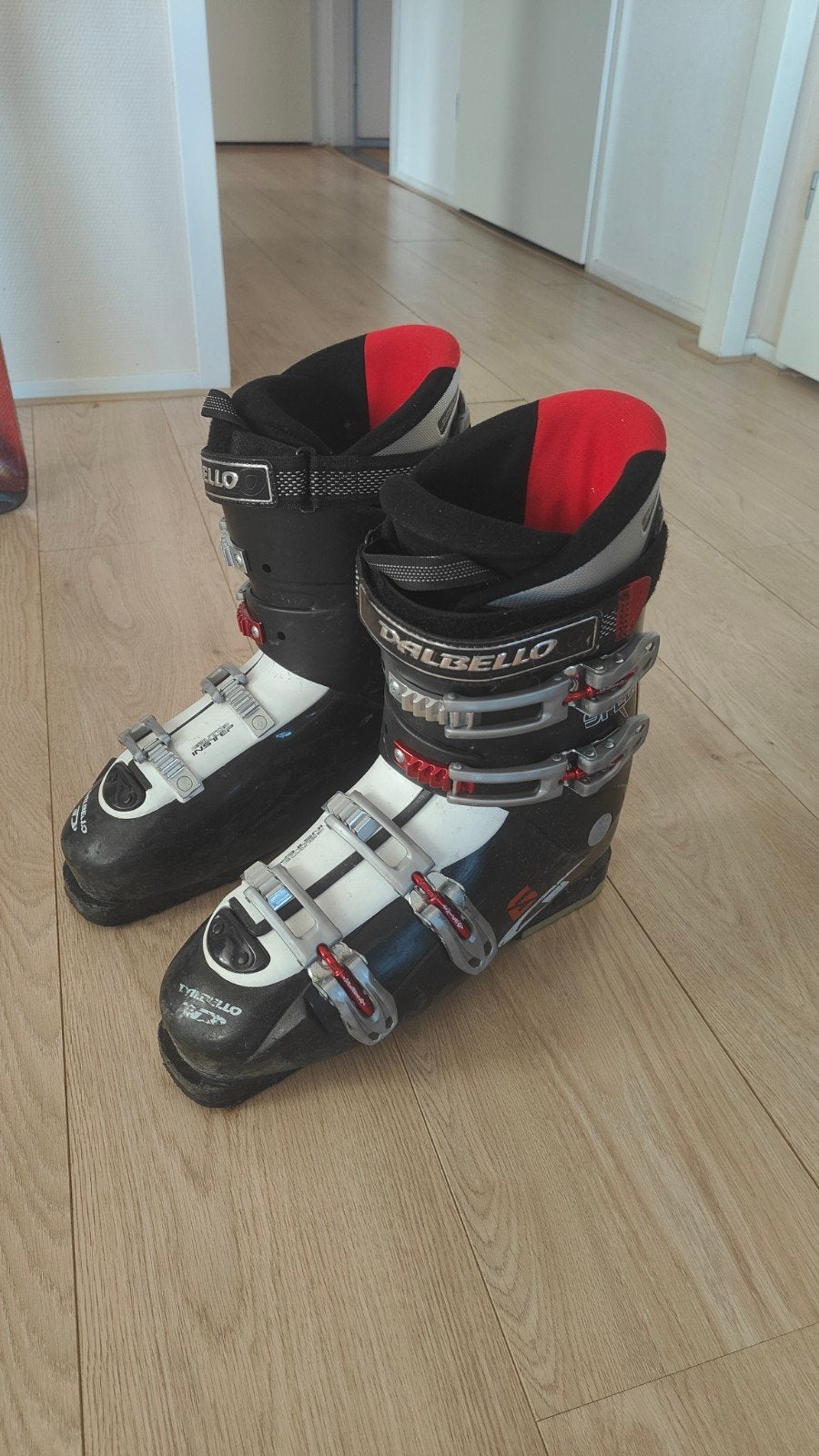 Dalbello Skischoenen - Gebruikt maar in goede staat, Sport en Fitness, Gebruikt, Schoenen, Skiën, Ophalen