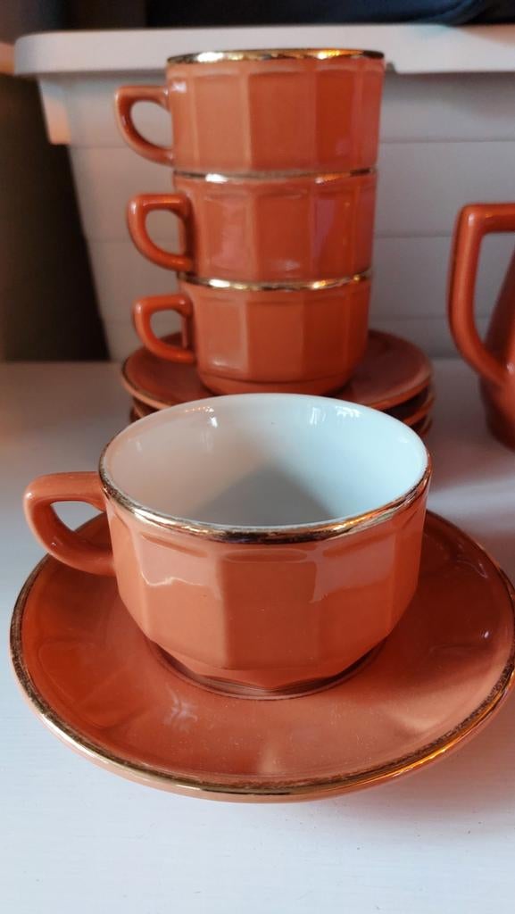 Apilco flora oranje kop en schotel, Ophalen of Verzenden