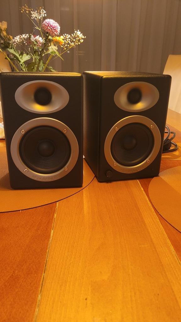 ESI nEar 04 Professionele Studio Monitoren, Overige merken, Gebruikt, Ophalen of Verzenden, Minder dan 60 watt