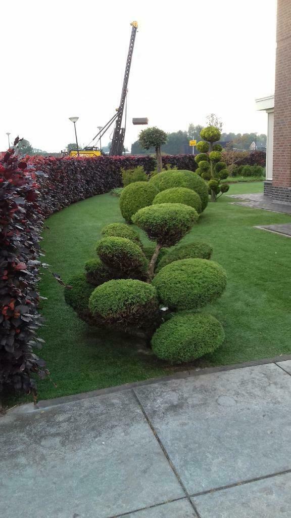 tuinonderhoud, Bestrating
