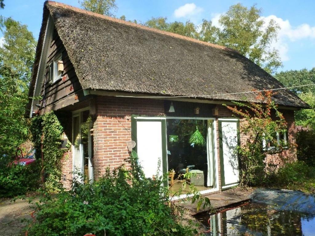 vakantiewoning / natuurhuisje Gasselte, Tv, In bos, Landelijk, 1 slaapkamer