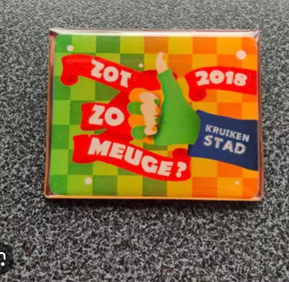 Gezocht! Jaarmotto 2018 kruikenstad speld, Ophalen of Verzenden, Zo goed als nieuw
