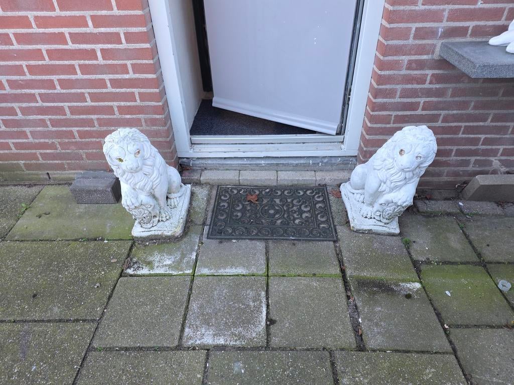 Super gave leeuwen, Tuin en Terras, Tuinbeelden, Ophalen