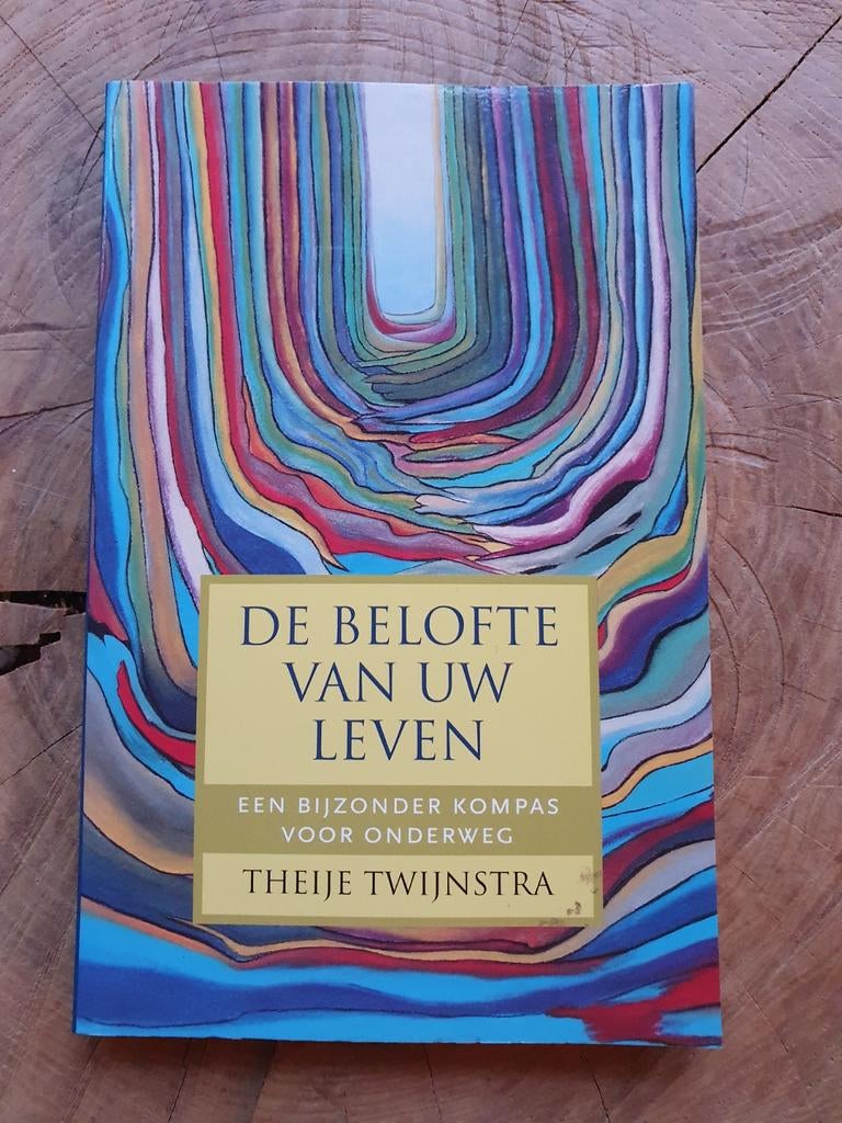 Theije Twijnstra - De belofte van uw leven, Boeken, Esoterie en Spiritualiteit, Instructieboek, Spiritualiteit algemeen, Ophalen of Verzenden