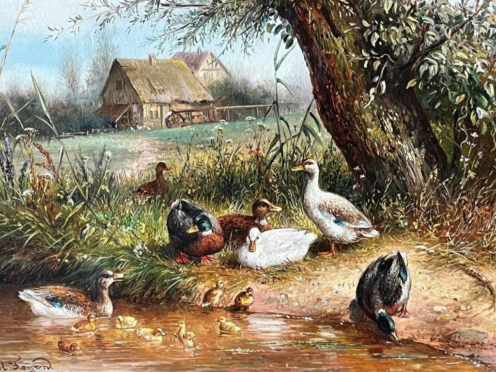 LA Feijen, eenden bij een waterplas, Ophalen