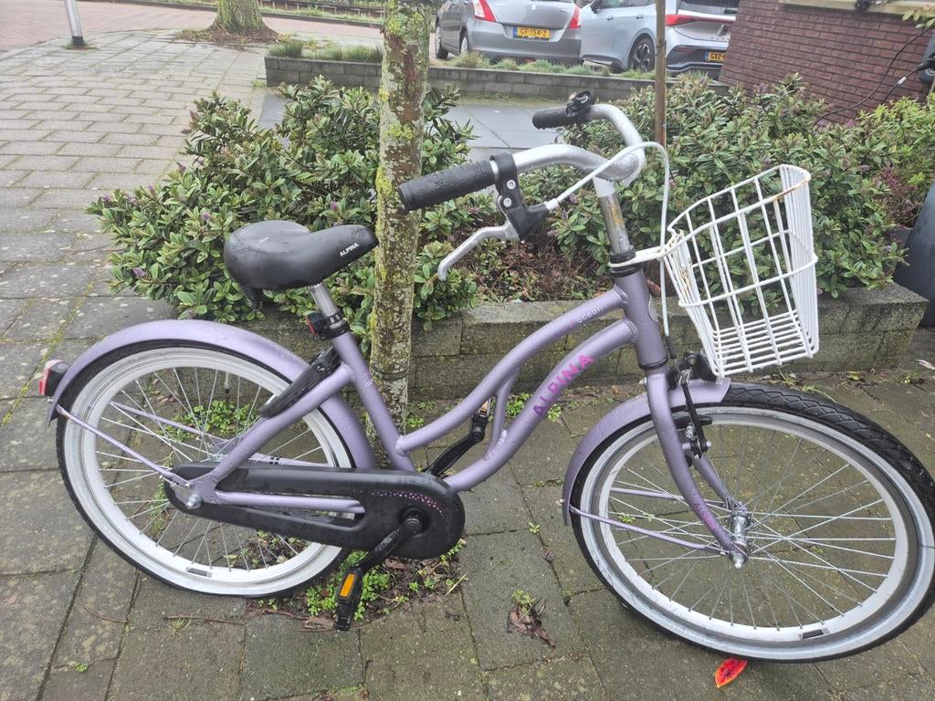 Alpina ocean fiets 22 inch, Fietsen en Brommers, Fietsen | Meisjes, Ophalen of Verzenden, Gebruikt, 22 inch