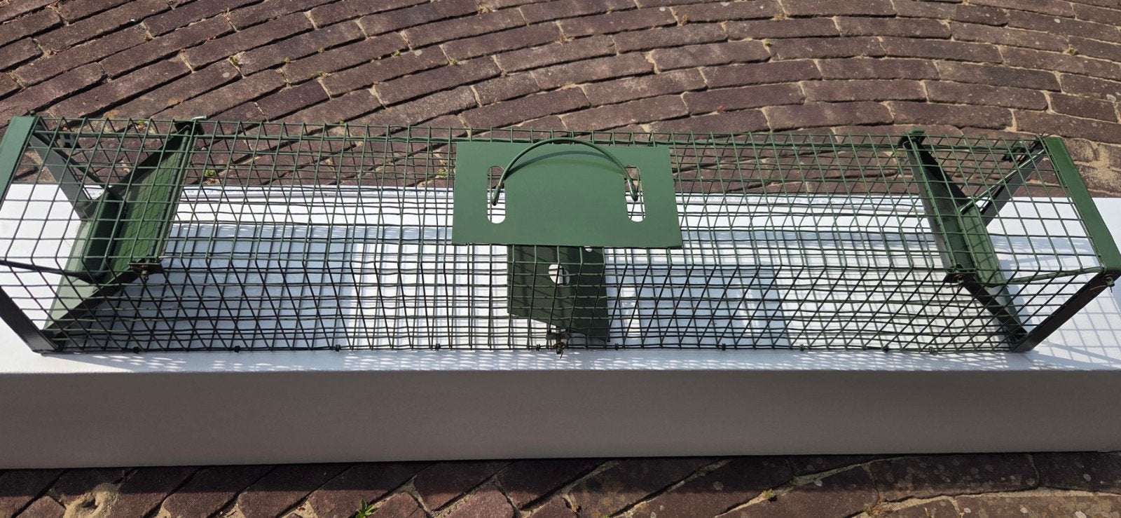 Ratten  ongedierte vangkooi 1m x 17 cm x 17 cn izgs Welkoop, Dieren en Toebehoren, Overige Dieren-accessoires, Ophalen of Verzenden