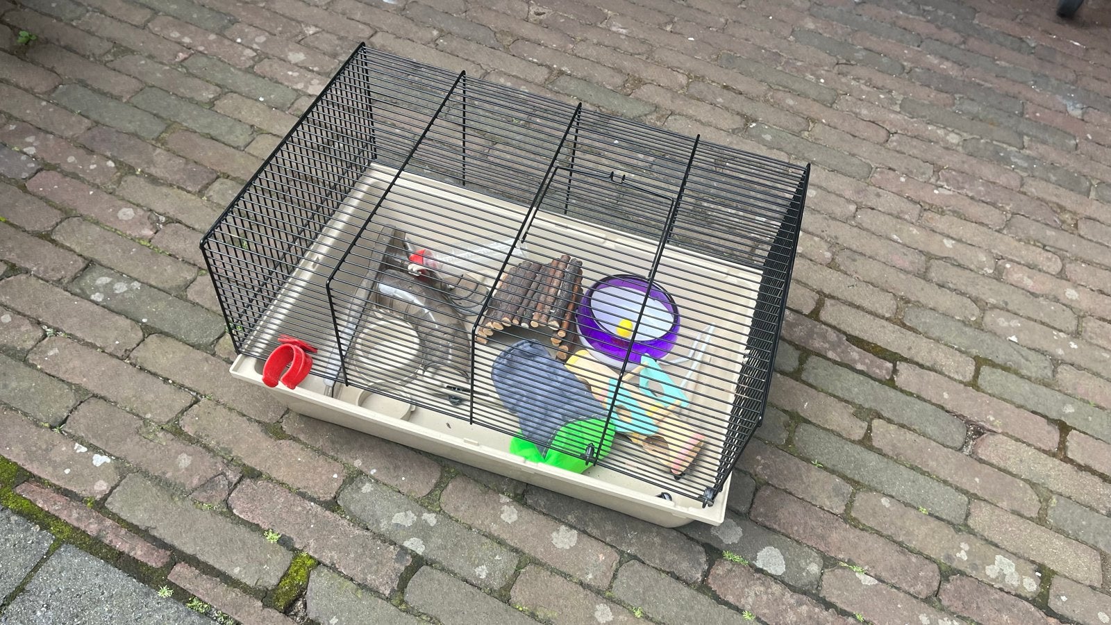 Hamster kooi incl. toebehoren, Dieren en Toebehoren, Minder dan 60 cm, Kooi, Minder dan 75 cm, Ophalen of Verzenden