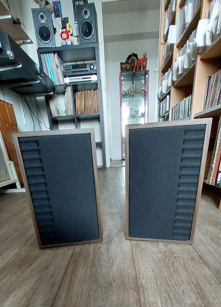 Syncom P1 boxen Engineered bij Bose USA., Gebruikt, Minder dan 60 watt, Front, Rear of Stereo speakers, Ophalen